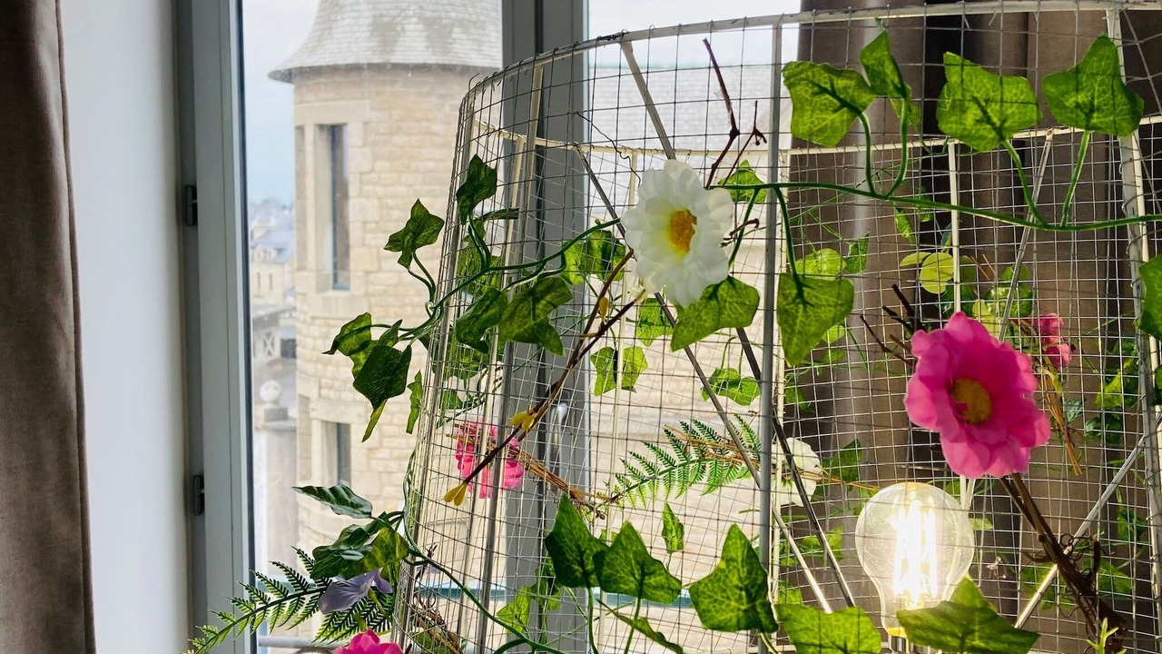 Photo of Others in Dinan