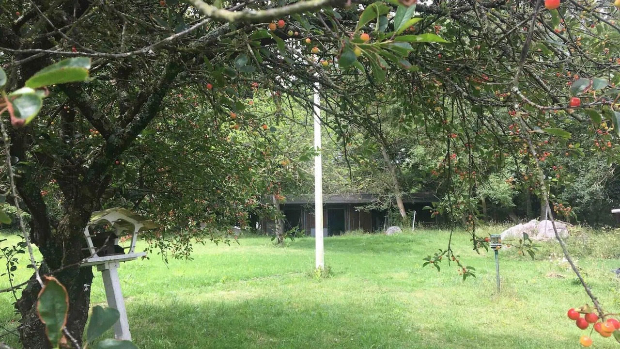 Photo of Outdoor in Sables-d'Or-les-Pins
