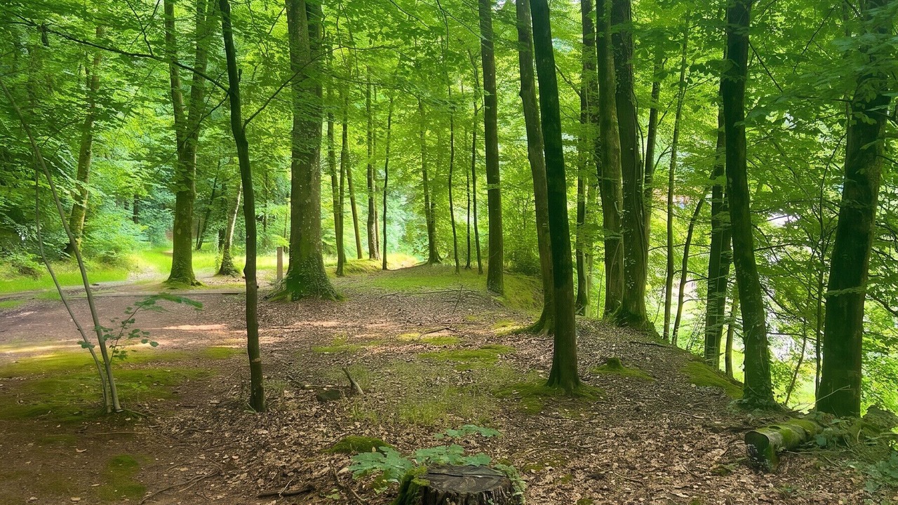 Photo of Others in La Ferriere-aux-Etangs