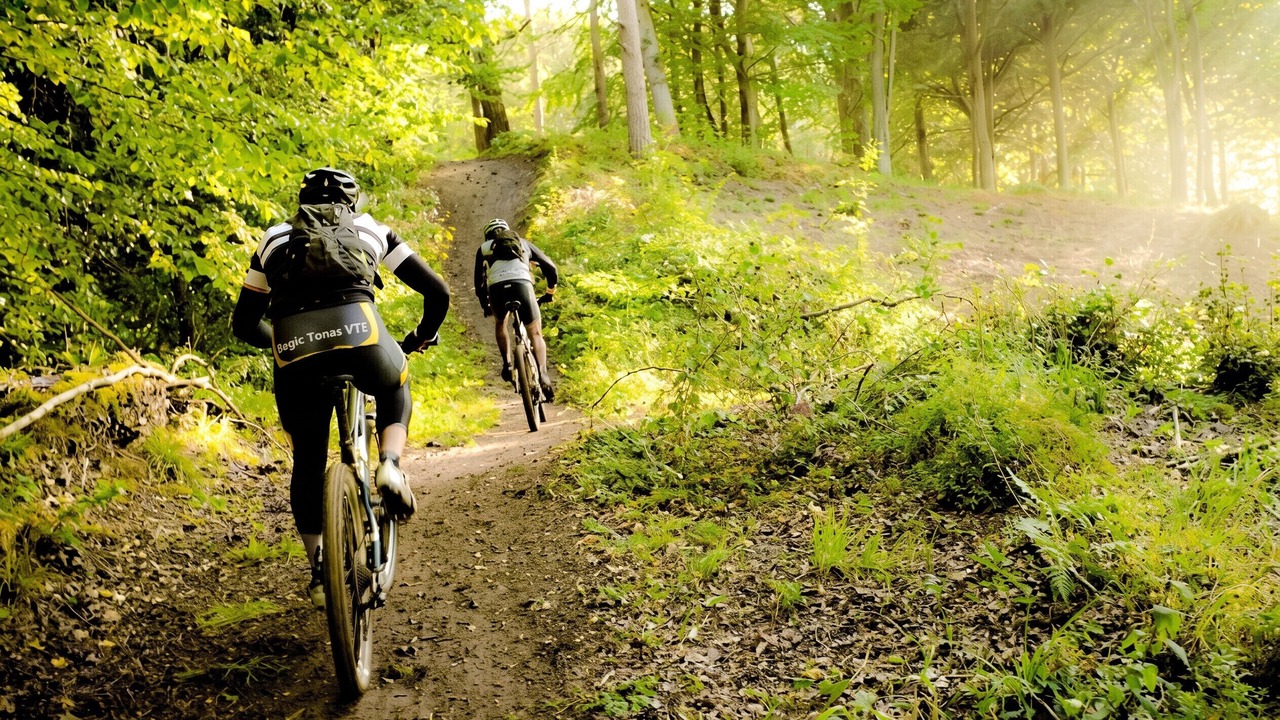 Photo of Others in La Ferriere-aux-Etangs