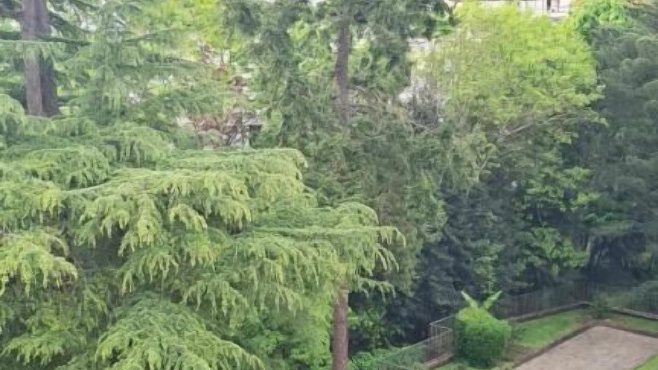 Photo of Outdoor in Proce