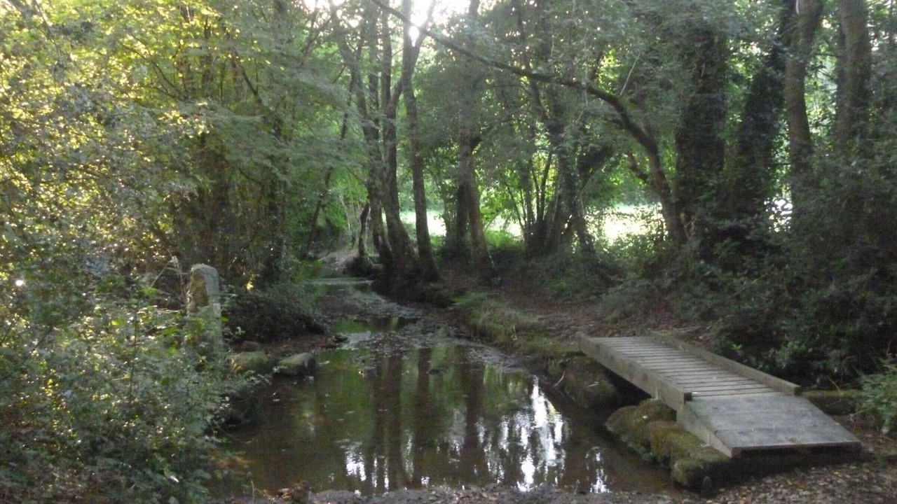 Photo of Outdoor in Saint-Joseph