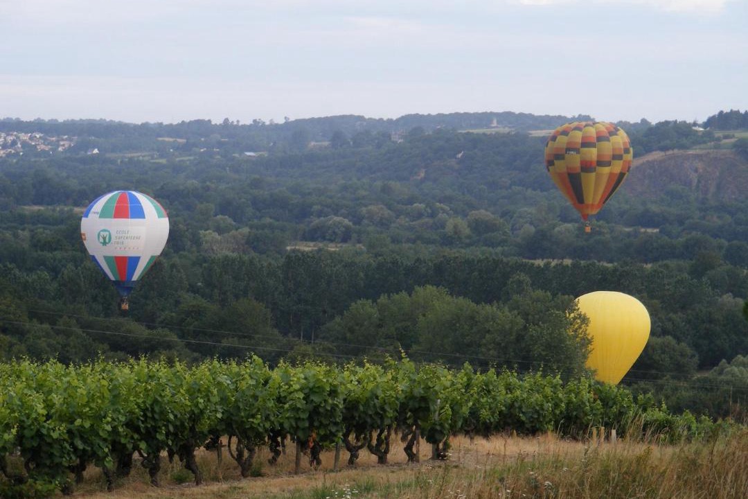 Photo of Others in Oree d'Anjou