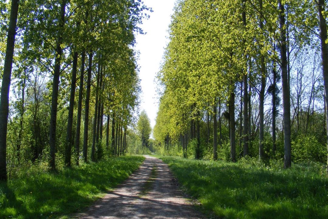 Photo of Others in Oree d'Anjou