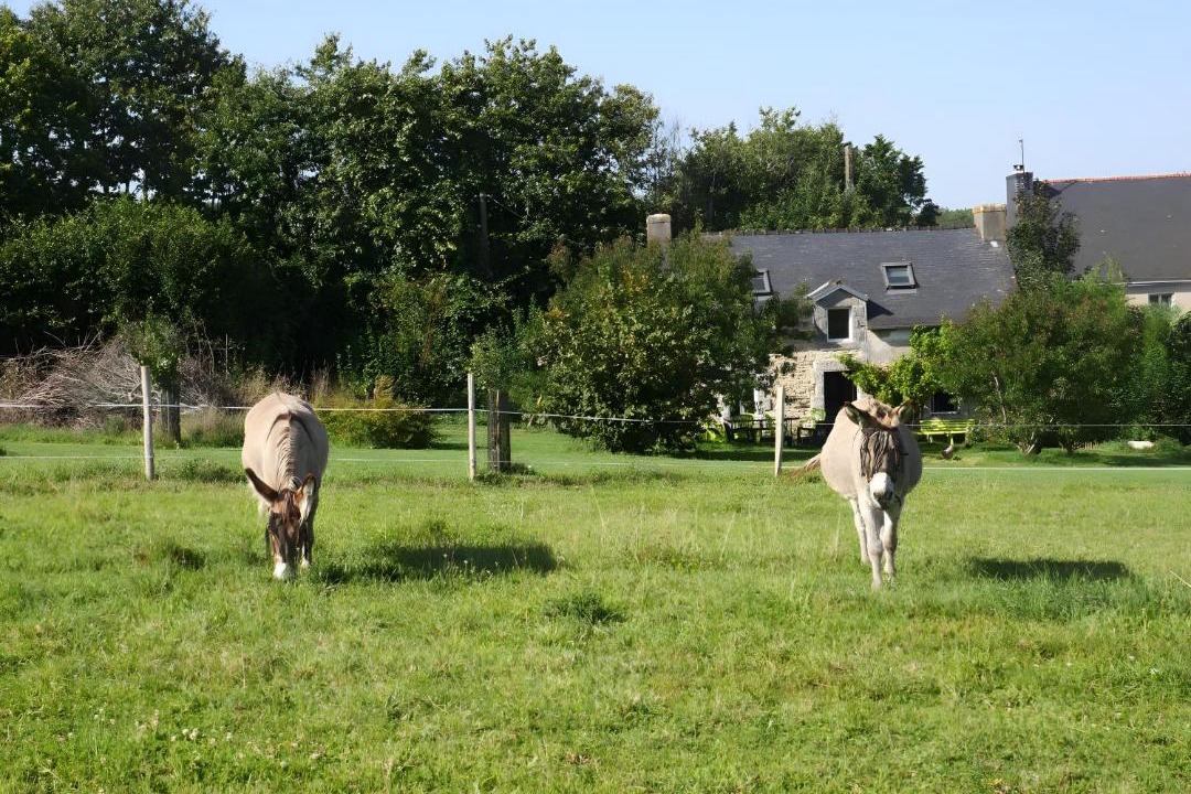 Photo of Others in Rosporden