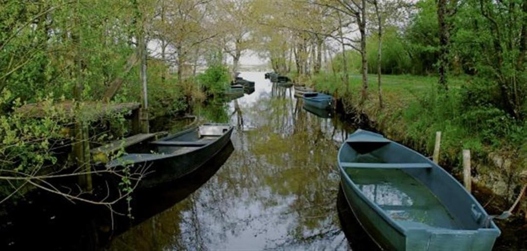 Photo of Others in Pontchateau
