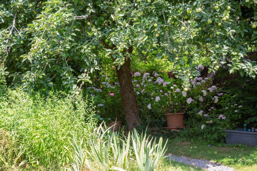 Photo of Others in Arzano