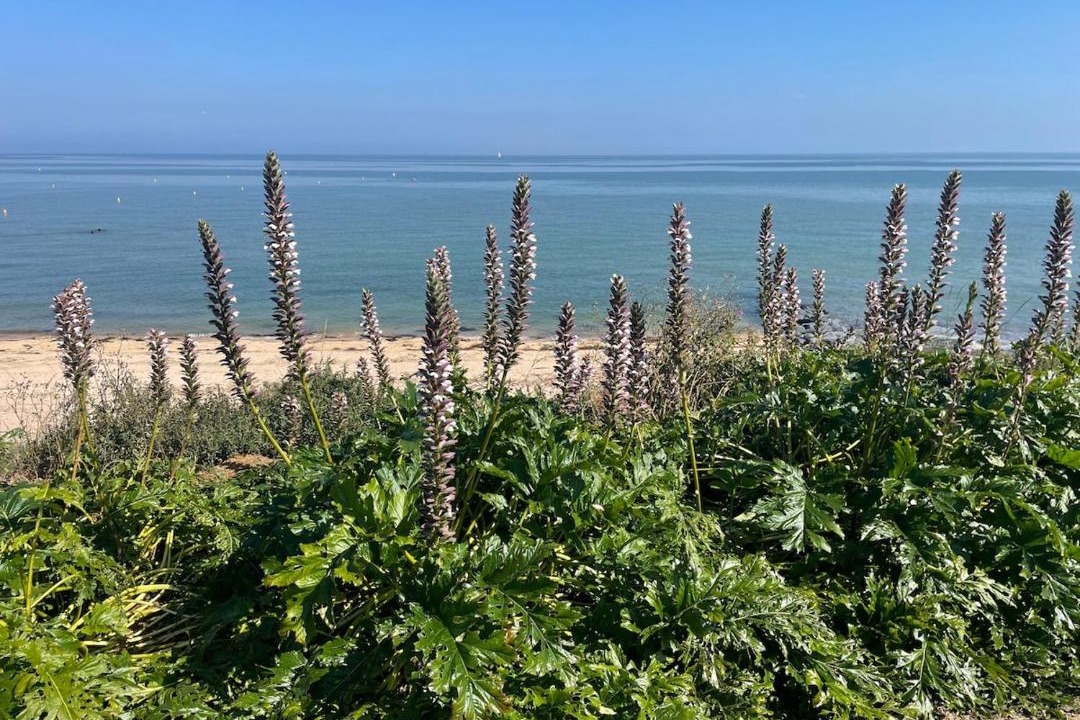 Photo of Others in Bernieres-sur-Mer