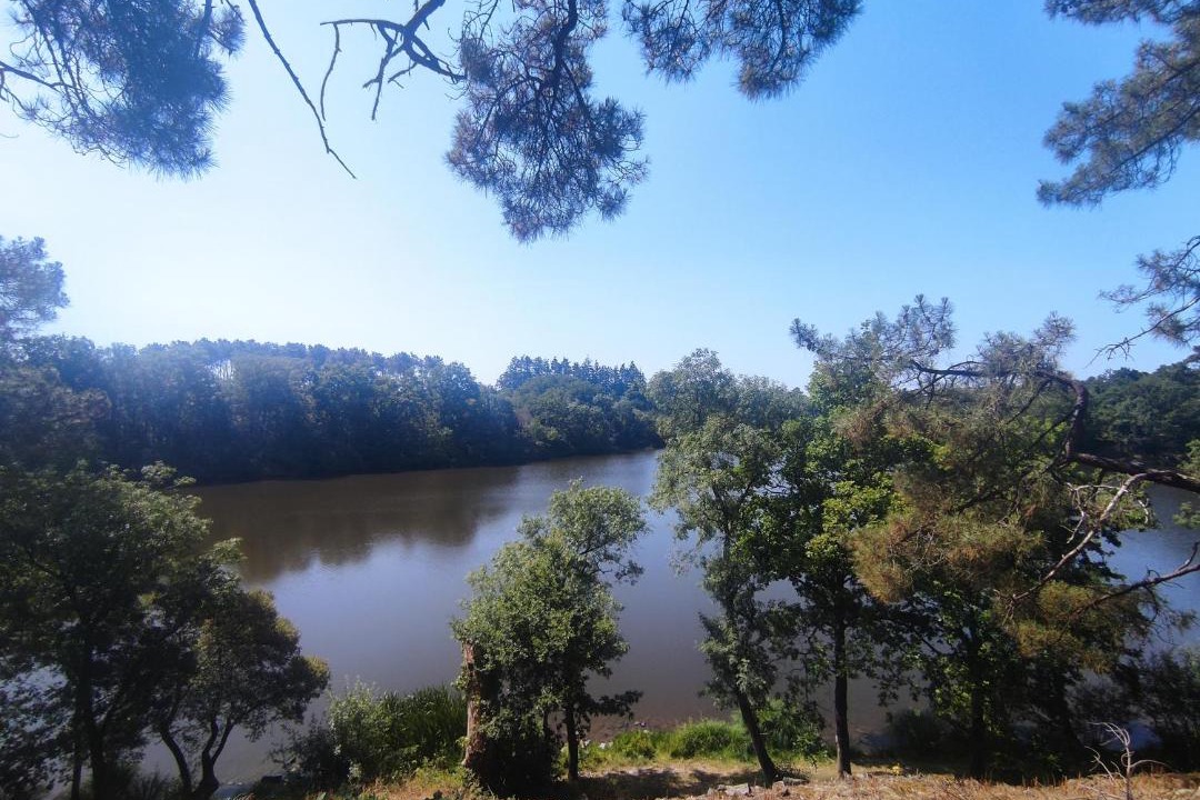 Photo of Others in Moisdon-la-Riviere
