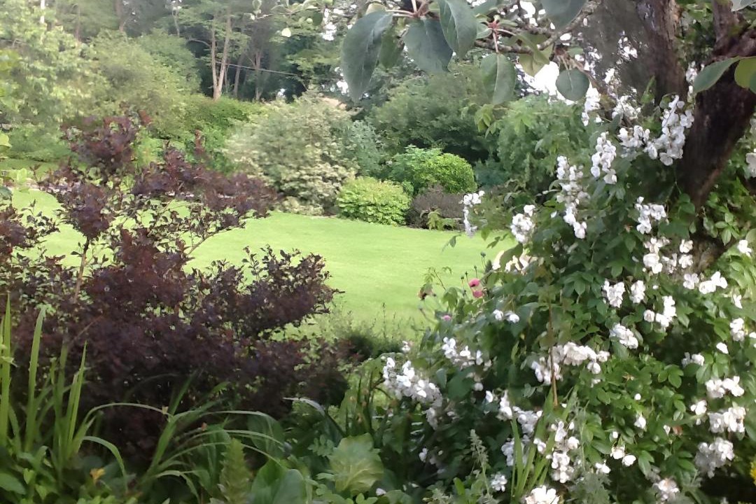 Photo of Others in May-sur-Orne