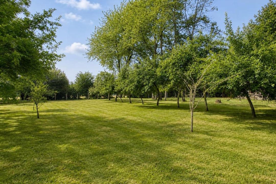 Photo of Outdoor in La Ferriere-au-Doyen
