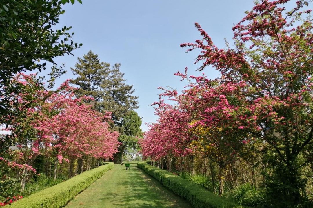 Photo of Outdoor in Saint-Martin-le-Bouillant