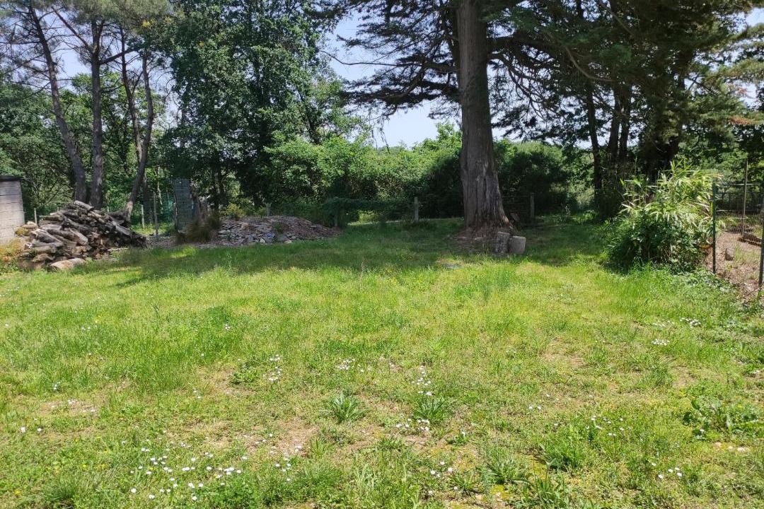 Photo of Others in Moisdon-la-Riviere