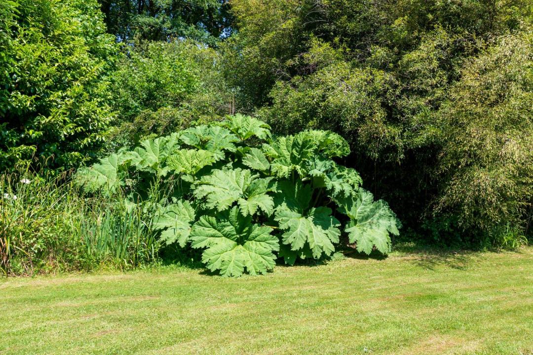 Photo of Outdoor in Plumelin