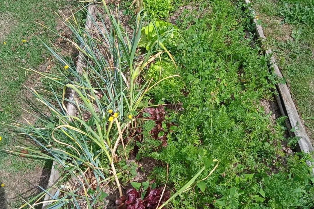Photo of Outdoor in Villiers-Charlemagne