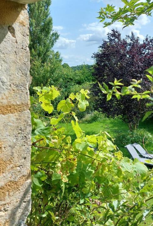 Photo of Others in La Chapelle-Montligeon