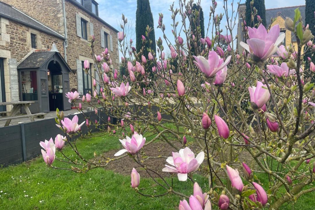 Photo of Others in Langrolay-sur-Rance