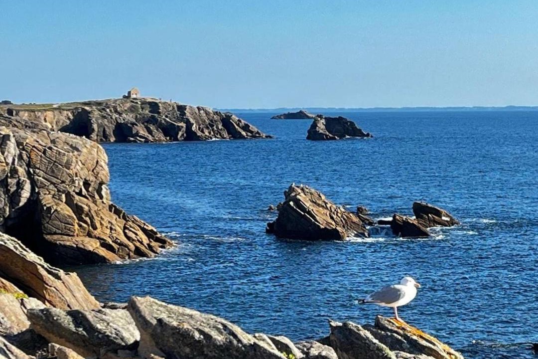 Photo of Others in Quiberon
