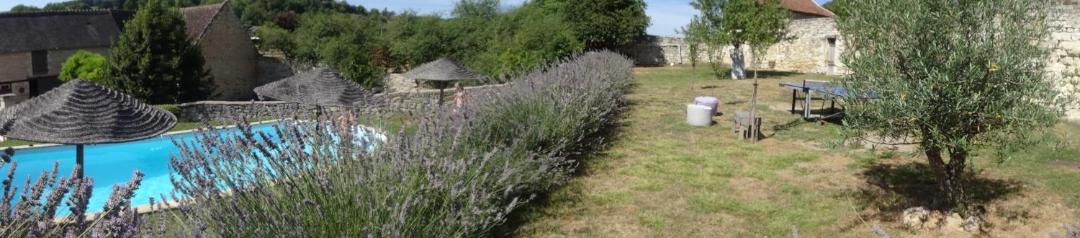 Photo of Others in Chinon