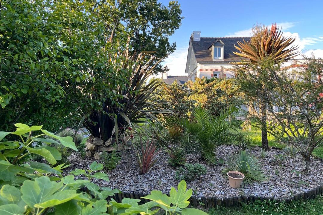 Photo of Others in Moelan-sur-Mer