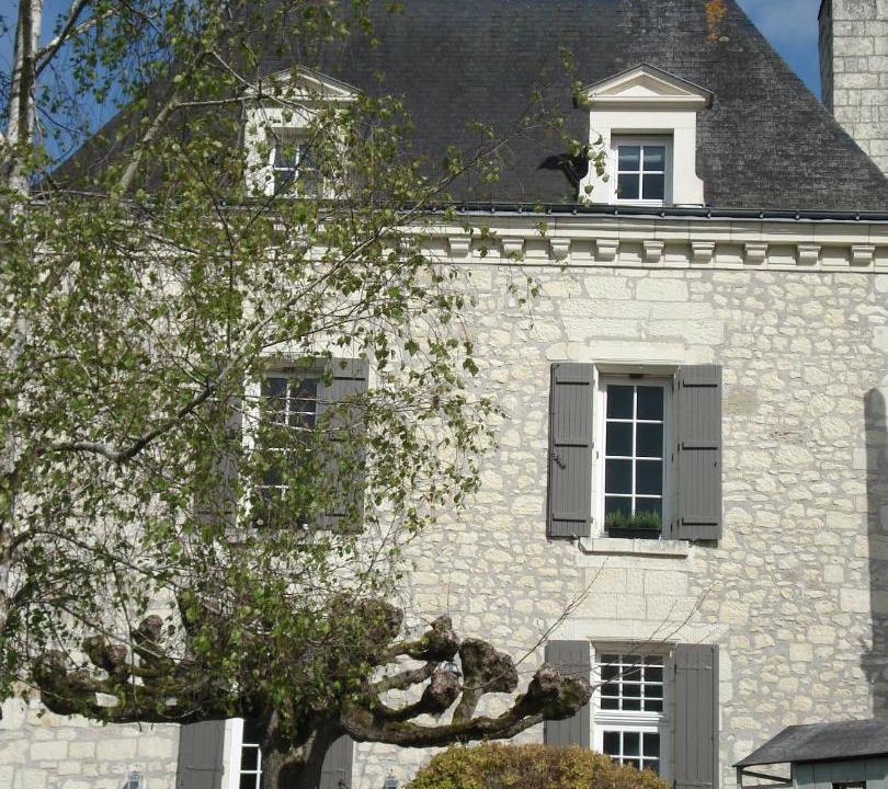 Photo of Others in Chinon