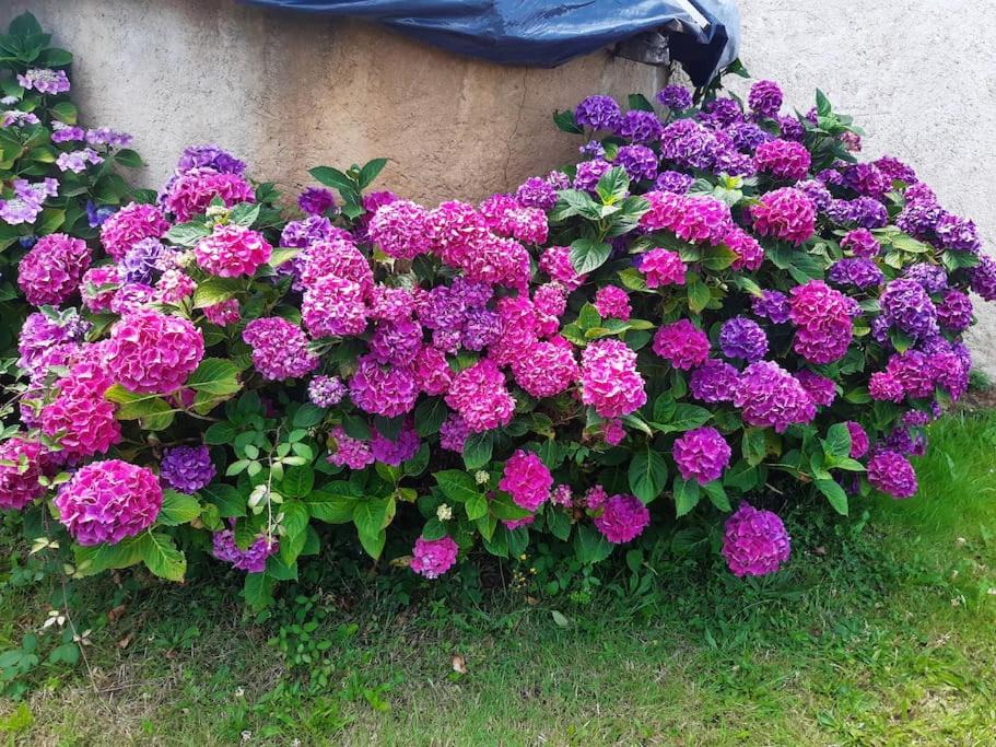 Photo of Outdoor in Guitte