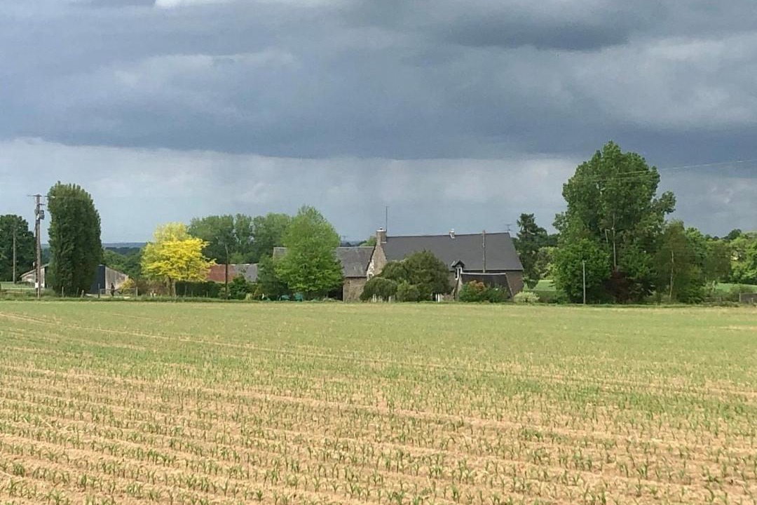 Photo of Others in Fougerolles-du-Plessis
