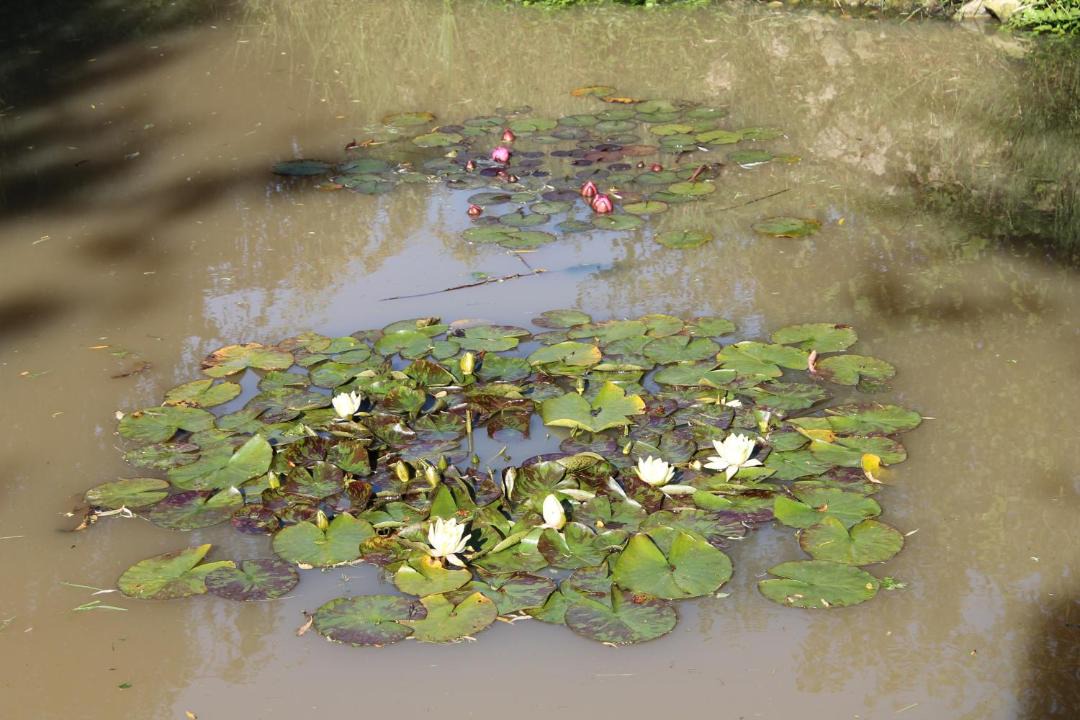 Photo of Others in Saint-Martin-de-Varreville