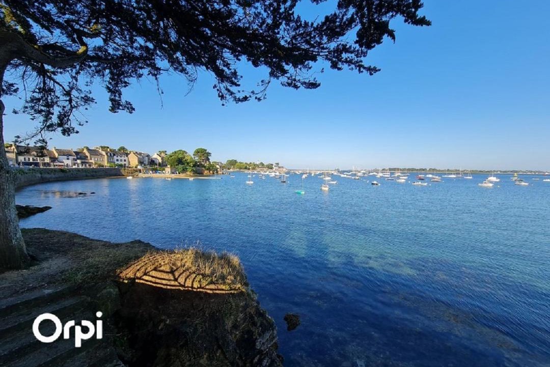 Photo of Others in Arzon