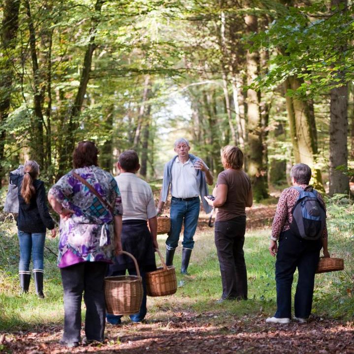 Photo of Others in Juvigny-sous-Andaine