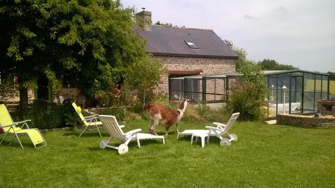 Photo of Others in La Bouexiere