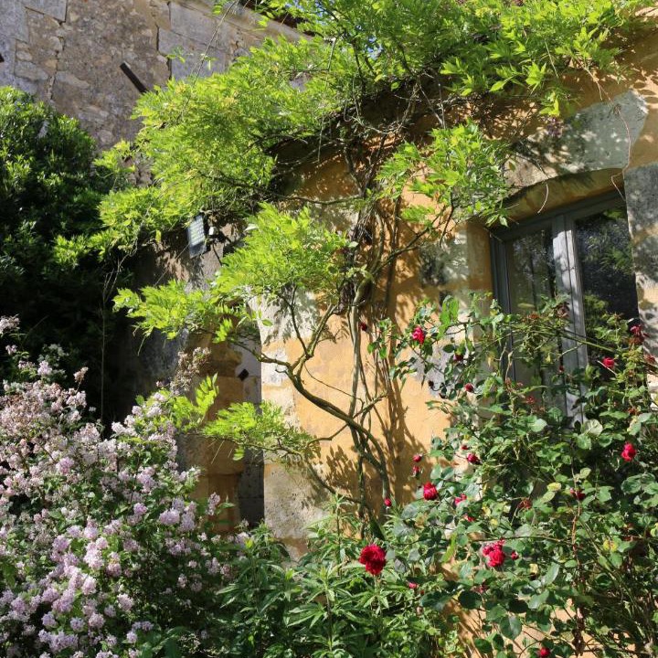 Photo of Others in La Chapelle-Montligeon