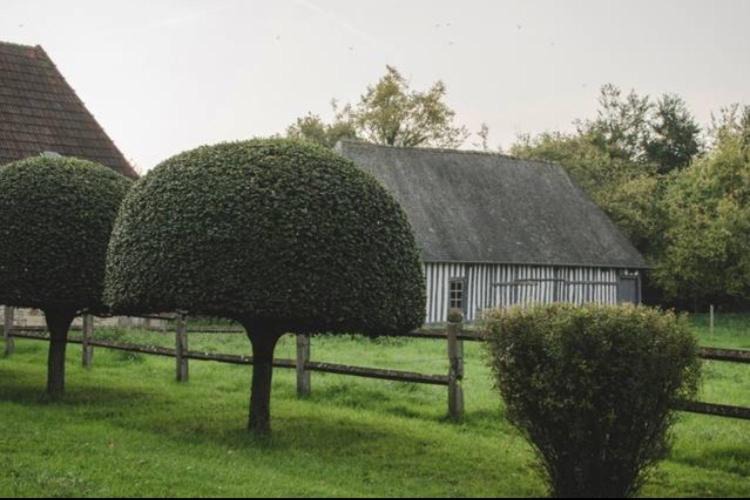 Photo of Buildings in Brucourt