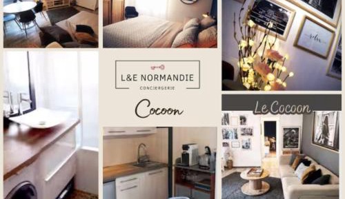 Appartement 1 chambre