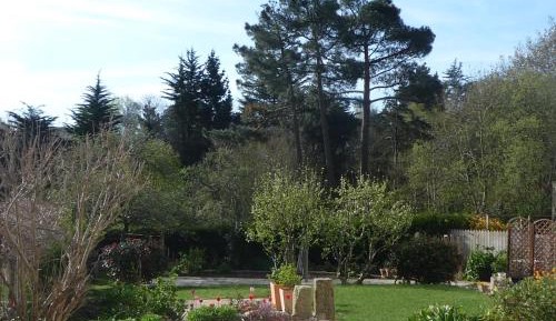 Double Room with Garden View